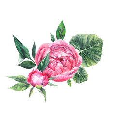 Watercolor compositions, bouquet with pink peonies, leaves