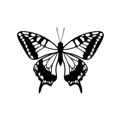 Butterfly logo design vector. Butterfly logo template illustration