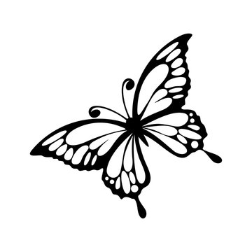 Doodle Outline Butterfly Icon Isolated On White. Kids Hand Drawing Line  Art. Sketch Animal. Royalty Free SVG, Cliparts, Vectors, and Stock  Illustration. Image 156996880.