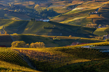 Autumnal vineyards and hills of Langhe in Italy.