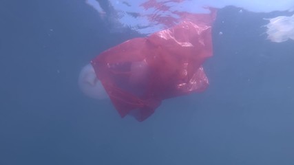 Plastic pollution, a discarded red plastic bag slowly drifting with jellyfish inside in blue water. Jellyfish trapped in plastic bag. Underwater shot,  Barrel jellyfish (Rhizostoma pulmo)