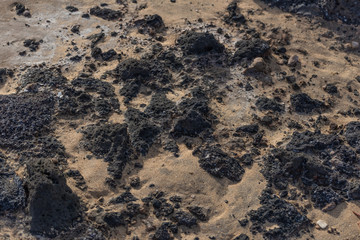 Wet compacted sand in the low tide zone and jutting out black lava reef