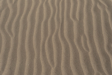 Wavy stripes in the dry sand created by the wind in the desert.