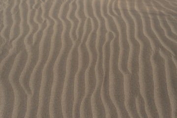 Fototapeta na wymiar Wavy stripes in the dry sand created by the wind in the desert.