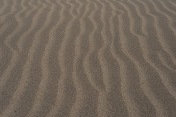Wavy stripes in the dry sand created by the wind in the desert.