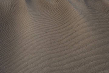 Sandy wavy surface covered with elegant lines formed by strong wind in the desert, shot fairly large without a horizon line