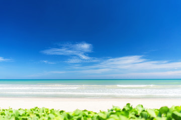 Beautiful tropical beach with blue sky and white clouds abstract texture background. Copy space of summer vacation and holiday business travel concept.