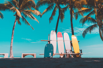 Surfboard and palm tree on beach background.