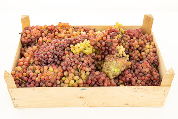 colorful mixed grapes in a wooden crate box