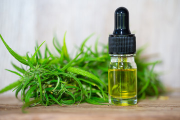 Hemp oil, Medical marijuana products including cannabis leaf,  cbd  and hash oil, alternative medicine