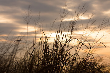 Golden Sunrise along the Chesapeake Bay in Calvert County Southern Maryland