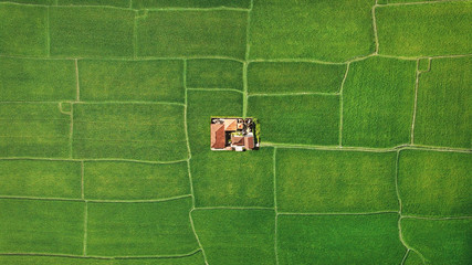 Farm in the middle of green fields, aerial view of geometry lines - obrazy, fototapety, plakaty