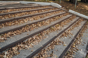 Stairs with autumn leaves. Stairs in the fall with leaves. Autumn in the park