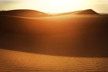 Sand dunes at sunset in the Sahara Desert