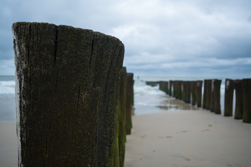 Wooden pillars at the north Sea.