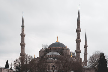 Fototapeta na wymiar Vintage photo of Sultanahmet Blue Mosque architecture, Istanbul, Turkey
