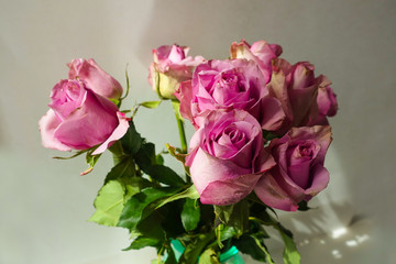 bunch of fresh pink roses and eustoma flowers close up