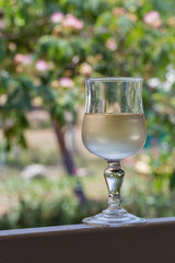 White wine glass outdoor closeup