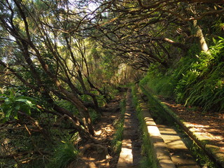 Lorbeerwald Madeira, 25 Fontes, Levadawanderung