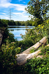 Fototapete bei efototapeten.de bestellen   