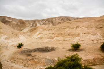 Wide Angle Desert