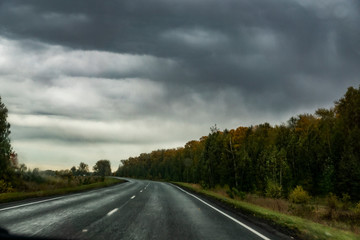 ride, speed, track, highway, wet, gray, road, marking, turn, curb, nature, forest, trees, grass, gloomy, sky, clouds, rain