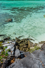 Sea Bright, beautiful at tropical island the Andaman crystal Sea, of Koh Lipe, Thailand