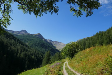 Obraz premium vallon d'Archinard