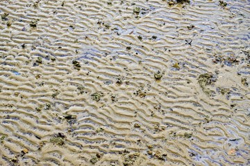 Streak on sand effected by change of sea water level.