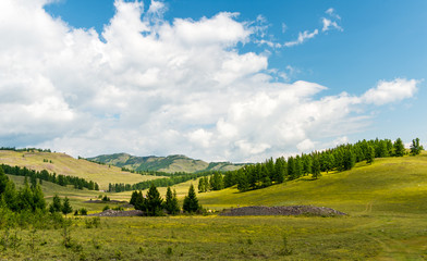 Fototapeta na wymiar Kuray steppe