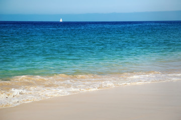 Fototapeta na wymiar Beautiful tropical beach on paradise Island. Canary Island Fuerteventura Spain.
