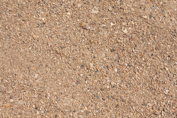 Sand and background.