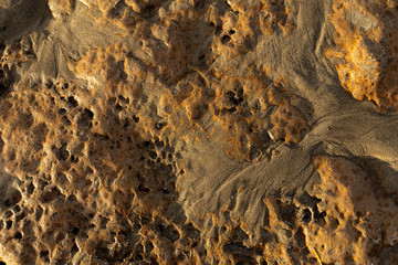 Yellow reef at low tide smoothed by time and water, shot close-up in the evening sun