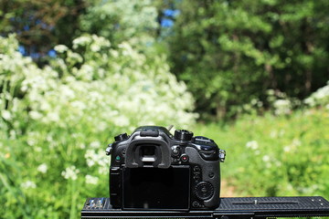 photo shooting  in nature digital camera in the foreground
