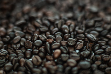 Roasted dark brown coffee bean cloe up