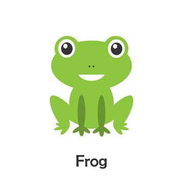 Frog in cartoon style, pond card for kid, preschool activity for children, vector illustration