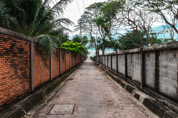Walkway leading to beach 