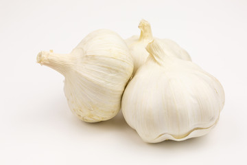 bulb of fresh garlic  - allium sativum