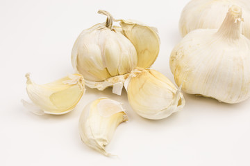 bulb of fresh garlic  - allium sativum