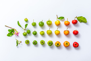 Ripening Barbados Cherry fruit on white background