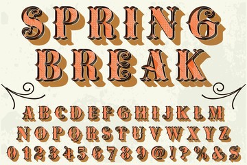 Classic vintage decorative font label design named vintage hipster spring break