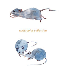 水彩のネズミたち