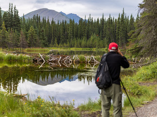 Photographer gets beaver dam reflection