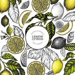 Lemon tree banner template. Hand drawn vector fruit illustration. Engraved style banner. Vintage citrus design.