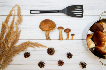 Grzyby na jesiennym kuchennym stole © andsko