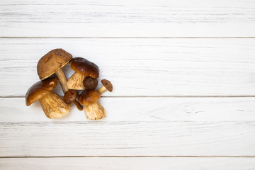 Grzybki na białych deskach © andsko