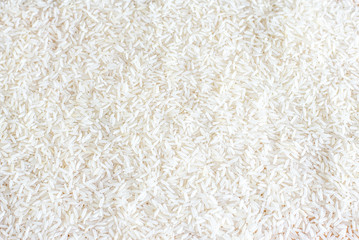 Long grain of rice , Basmati rice