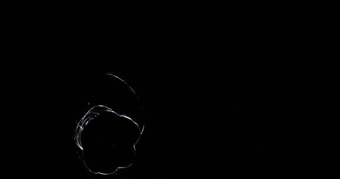 Shattered and broken glass shards flying through the air after crush broken window on a black background