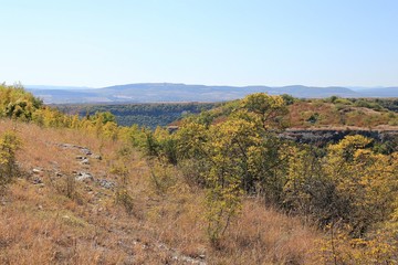 Fototapeta na wymiar Yellow trees in the mountains of Bulgaria in autumn