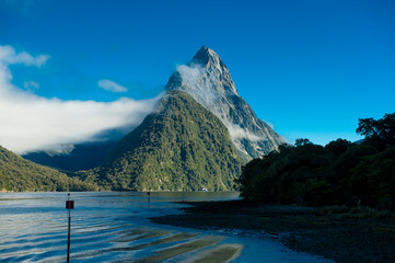 Milford Sound￨New Zealand's South Island